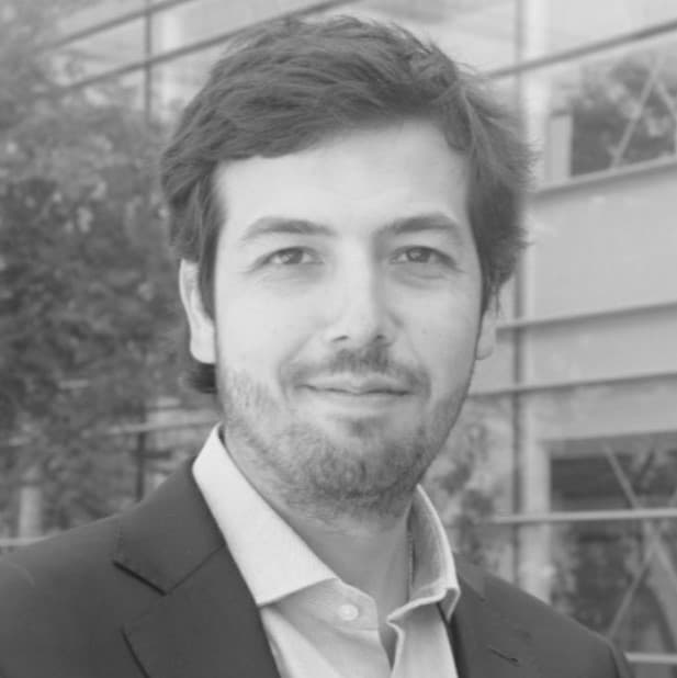 Flavio Viterbo Crisosto